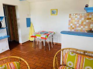Location climatisée, piscine, animaux acceptés, jardin clôturé, parking, provence , wifi - 4
