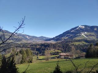 Schwemm Moos - Westendorf - 4