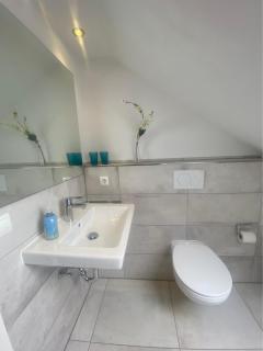 1031 Seemöwe - Dahme - 5