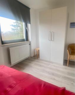 1032 Lachmöwe - Dahme - 8