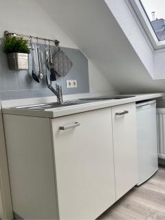1032 Lachmöwe - Dahme - 6