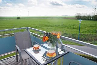 Nordseekrabbe - Neuharlingersiel - 4
