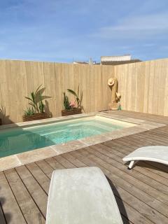 Mas des Oliviers, maison avec piscine privative et chauffée LOCAMARGUE - Maguelonne - 5