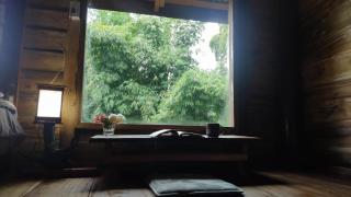 PeaMoo Homestay - 1
