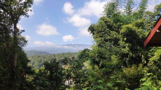 PeaMoo Homestay - 1