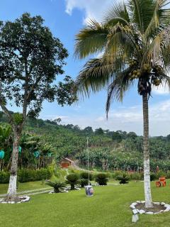 Hacienda San Miguel Arcangel - 4