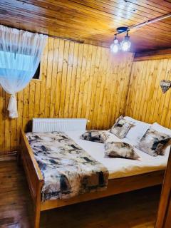 River House Transylvania - Frăsinet - 1