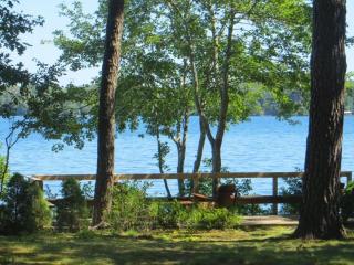 160 Long Pond Drive Harwich Cape Cod - Old Camp - Harwich - 0