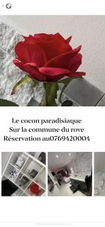 Love room avec spa privatif - Le Rove - 3