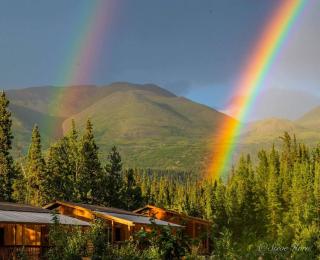 McKinley Creekside Cabins - 2