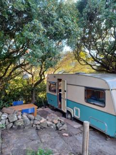 Camping en Molino Dorado - Facinas - 7