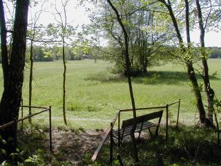 Haus Waldfrieden - 8