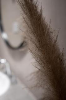 Departamento Zuviria 629 - 7