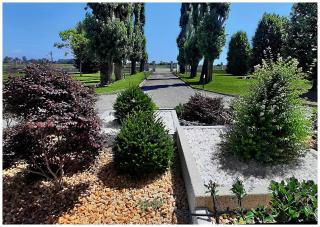 Villa Agricolae Agriturismo - 8