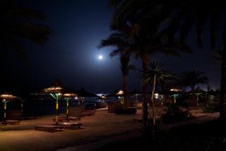 Flamenco Beach & Resort Quseir - Al-Qusair - 7