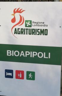 Agriturismo bio Apipoli - 9