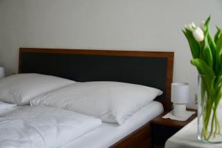 Privatzimmer Haider - Illmitz - 8