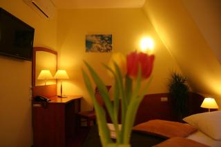 Hotel Karolinka - Gogolin - 1