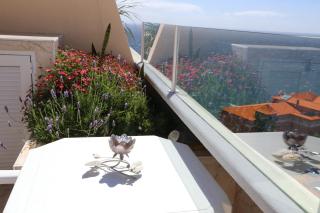 Penthouse Ventur - 8