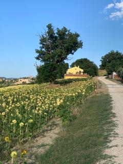 Casa in campagna la Roverella - Francavilla dʼEte - 1