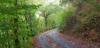 Neumühle - Lutzerath - 9