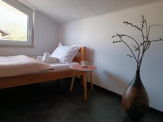 Apartma FRIGO - Maribor - 1