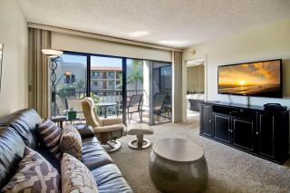 Land's End 1-301 Gulf View - Premier - St Pete Beach - 8