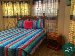 Areca Palms - Port Antonio - 5