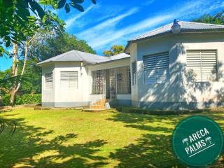 Areca Palms - Port Antonio - 0