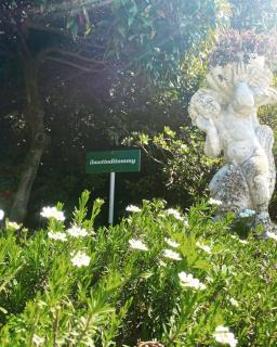 il Motto di Tommy - Castelveccana - 0