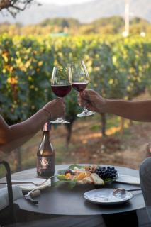 Vibo Wine Lodge At Viu Manent - 2