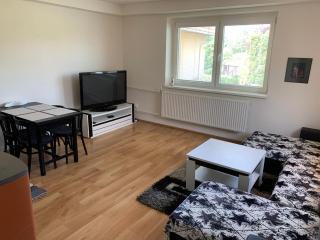 Feel Good Apartment - Detva - 3