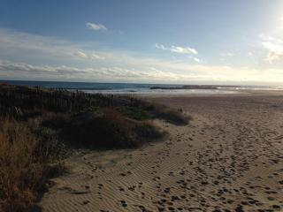 Studio cabine climatisé avec terrasse et parking à 500m de la plage de Sète - FR-1-338-144 - Sète - 4