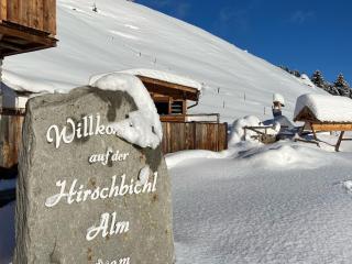 Chalet in Zillertal near Hochzillertal Ski Area - 0