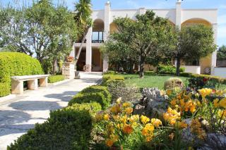 B&B La Rosa Blu - 0