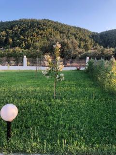 Be Happy Apartments - Vourvourou - 8