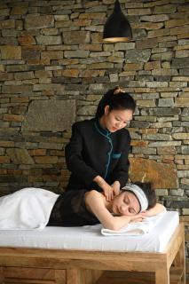 Stone Hedge Hotel - Nubra - 5