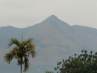 Homely Homestay - Kalpetta - 2