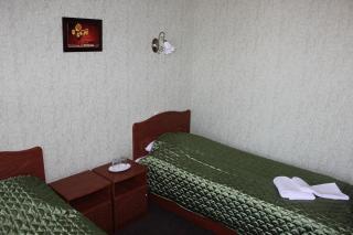 Golden Lion Hotel - Boryspil - 1