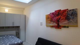 Savenaantico9 - Bologna - 3