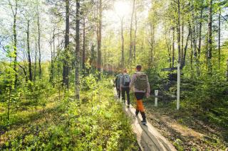 Break Sokos Hotel Bomba - 3