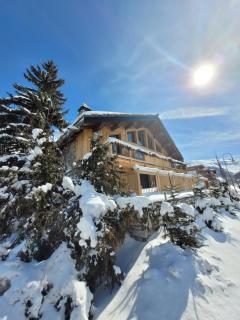 Maisons de montagne Le Samovar - Val dʼIsère - 0
