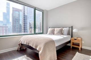 Streeterville Studio w Pool Gym nr Park CHI-581 - 2
