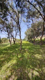 Gozo Holiday Home -Tranquil and Serene - Għasri - 2