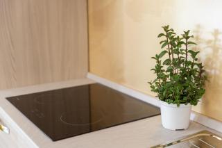 Villa Elena - Two Luxury Suites, garden & fast Wi-Fi near the Sea - Santa Maria al Bagno - 3