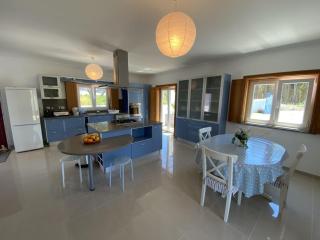 Villa Mochos Private Pool - Reguengo Grande - 6