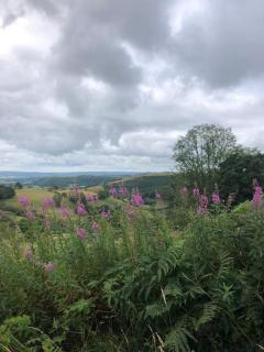 Loughor Annnex, Llangennech , Wales - - 1