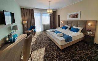 Ośrodek Uzdrowiskowy Świerkowy Zdrój Medical Spa - Rymanów-Zdrój - 8