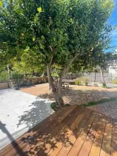 Casa Latchi Luxury Maisonette - Polis Chrysochous - 5