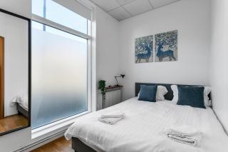 Bright apartment in the Heart of the City! - Reikiavik - 7